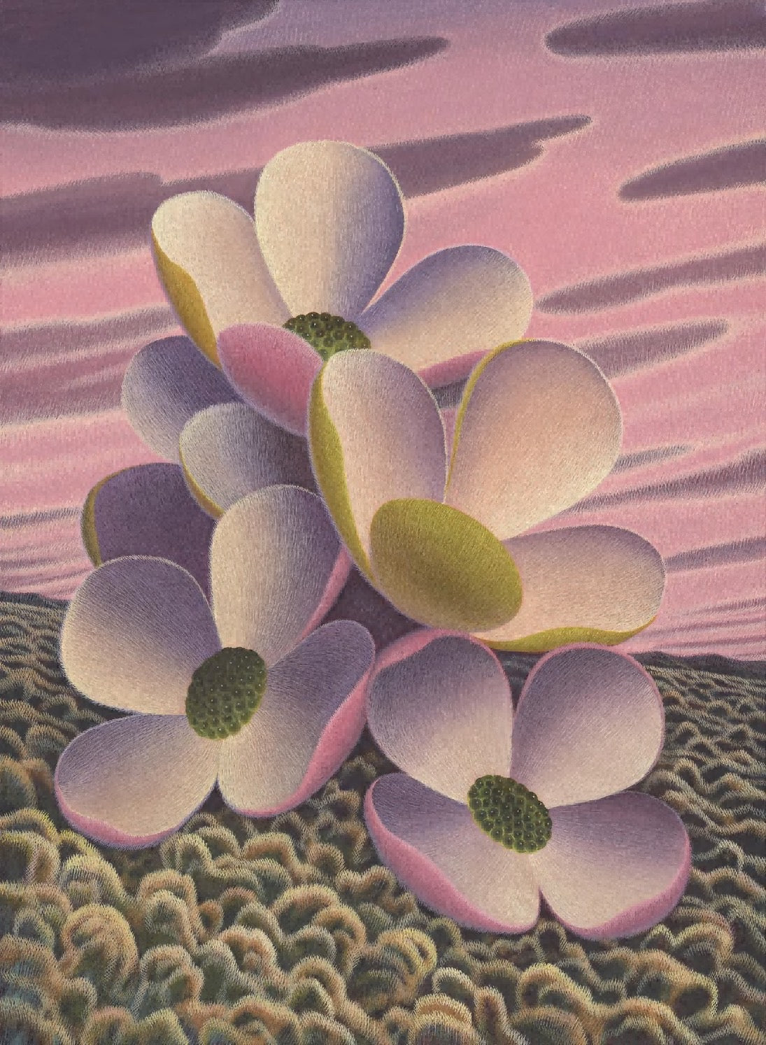 霞栖